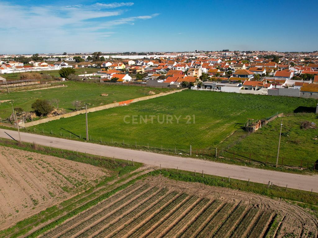 Oportunidade Imperdível: Terreno para Construção em Alhos Vedros - Moita 6.000m2 - Image 2