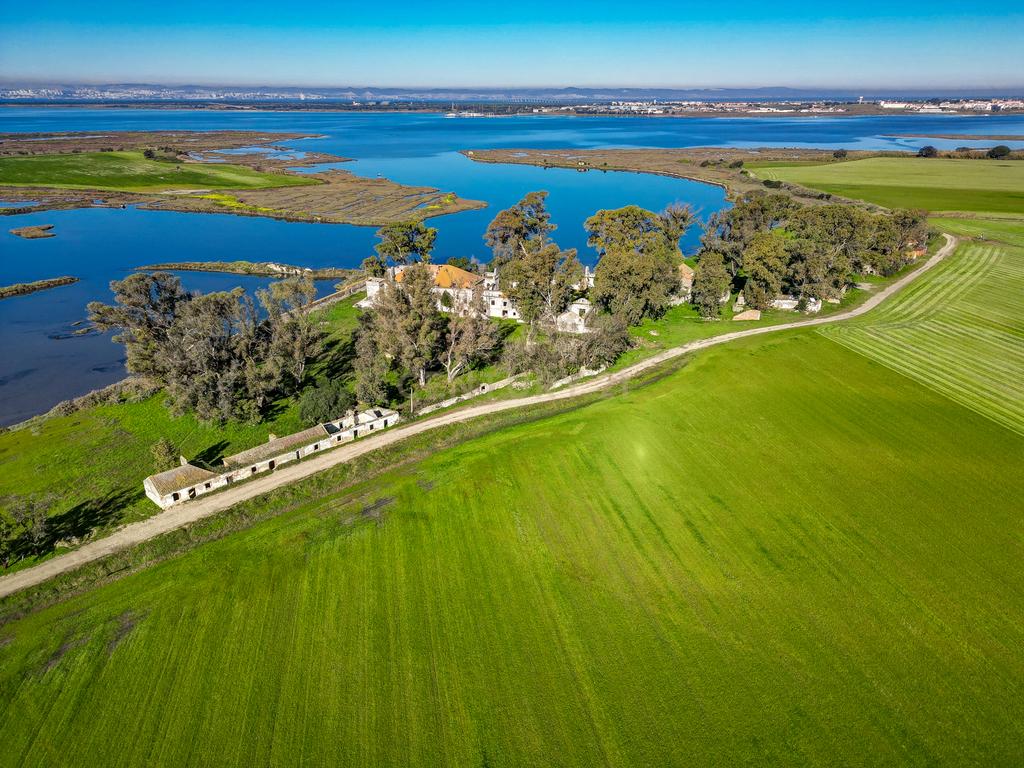 Quinta na margem sul do Tejo, com 105ha, com 5.000m2 de área urbana. - Image 7