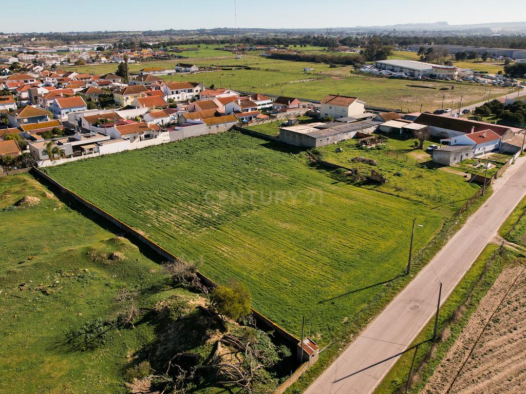 Oportunidade Imperdível: Terreno para Construção em Alhos Vedros - Moita 6.000m2 - Image 1