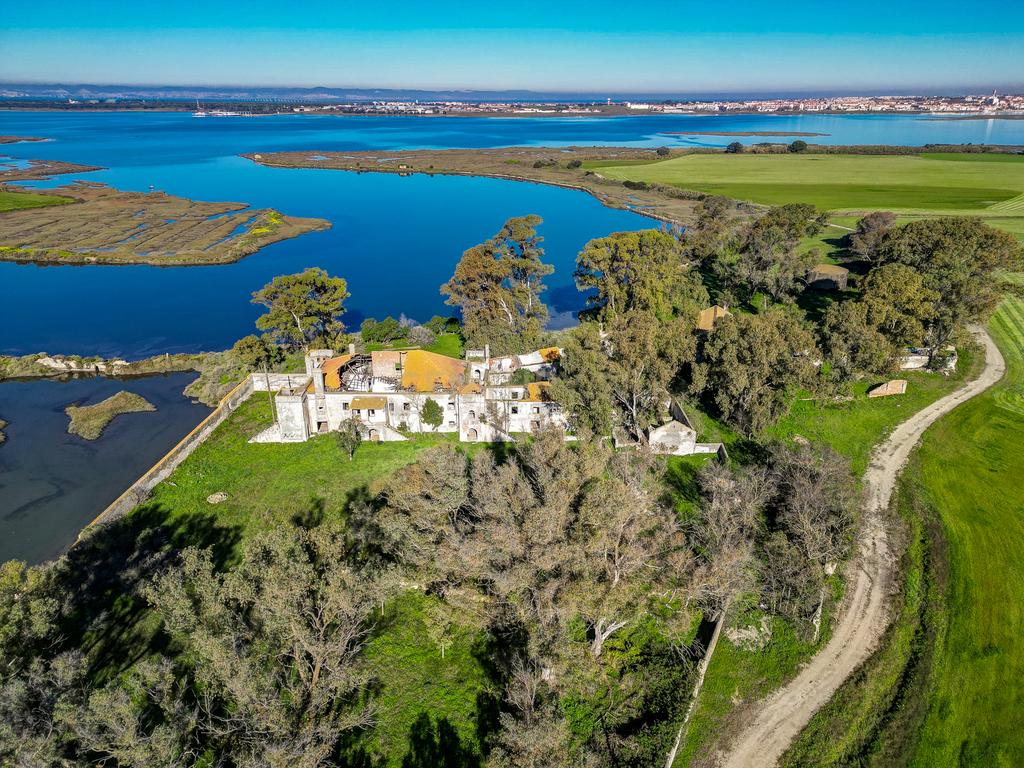 Quinta na margem sul do Tejo, com 105ha, com 5.000m2 de área urbana. - Image 3