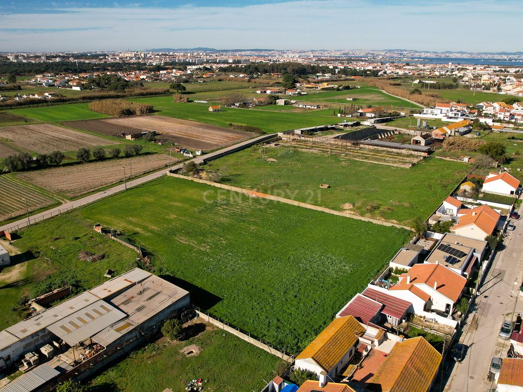 Oportunidade Imperdível: Terreno para Construção em Alhos Vedros - Moita 6.000m2 - Image 8