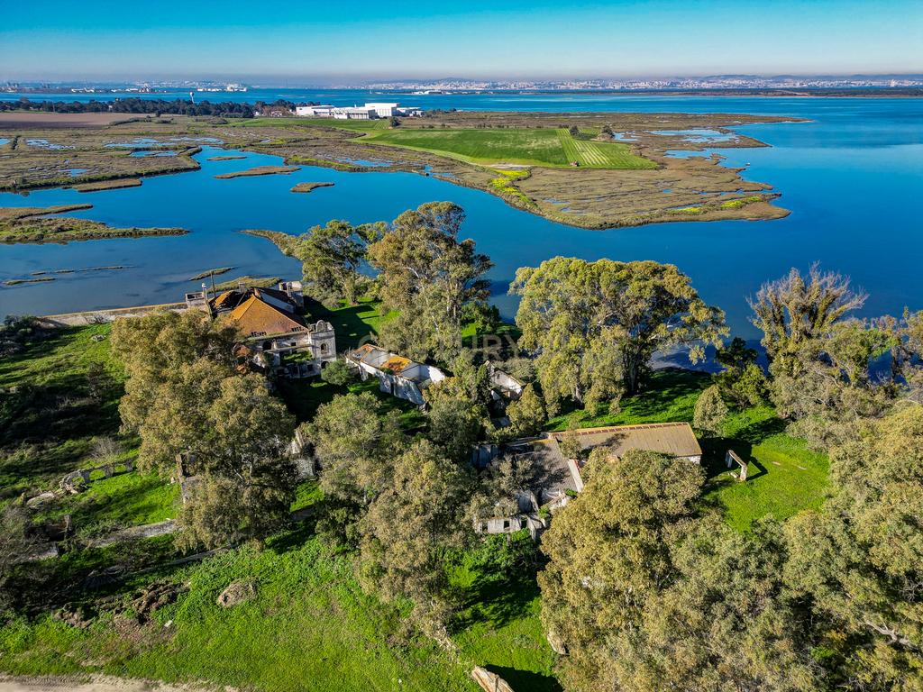 Quinta na margem sul do Tejo, com 105ha, com 5.000m2 de área urbana. - Image 21