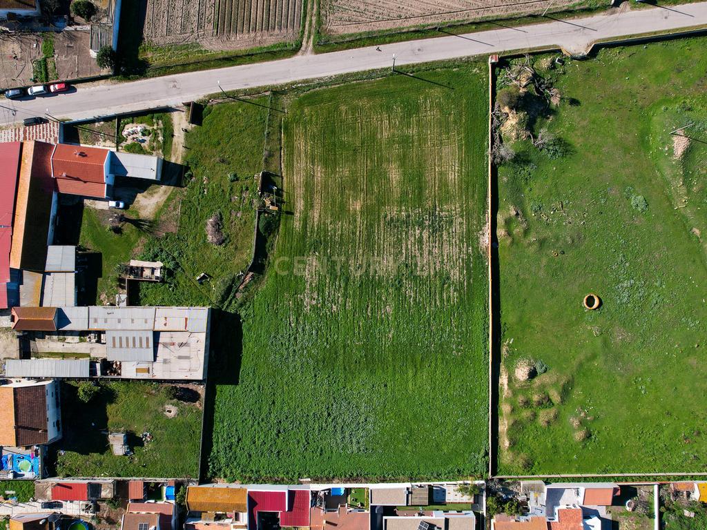 Oportunidade Imperdível: Terreno para Construção em Alhos Vedros - Moita 6.000m2 - Image 9