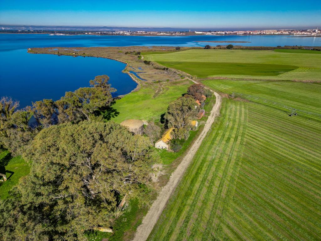 Quinta na margem sul do Tejo, com 105ha, com 5.000m2 de área urbana. - Image 9
