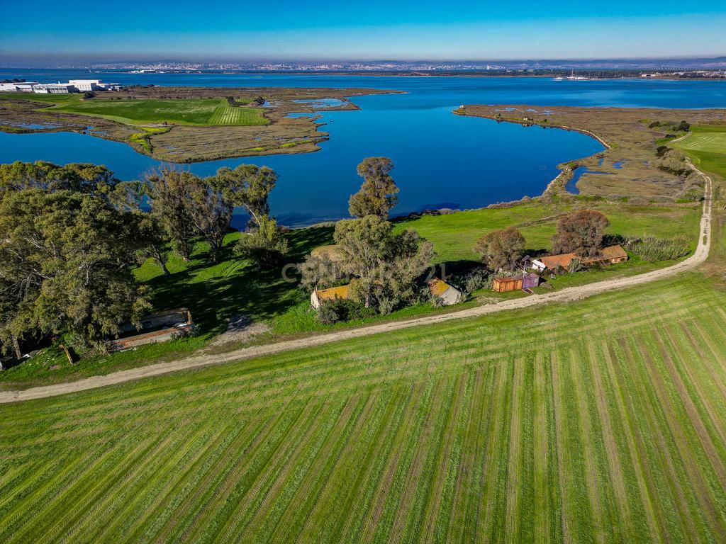 Quinta na margem sul do Tejo, com 105ha, com 5.000m2 de área urbana. - Image 5