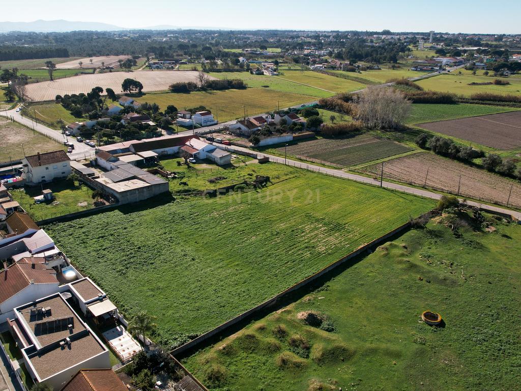 Oportunidade Imperdível: Terreno para Construção em Alhos Vedros - Moita 6.000m2 - Image 6