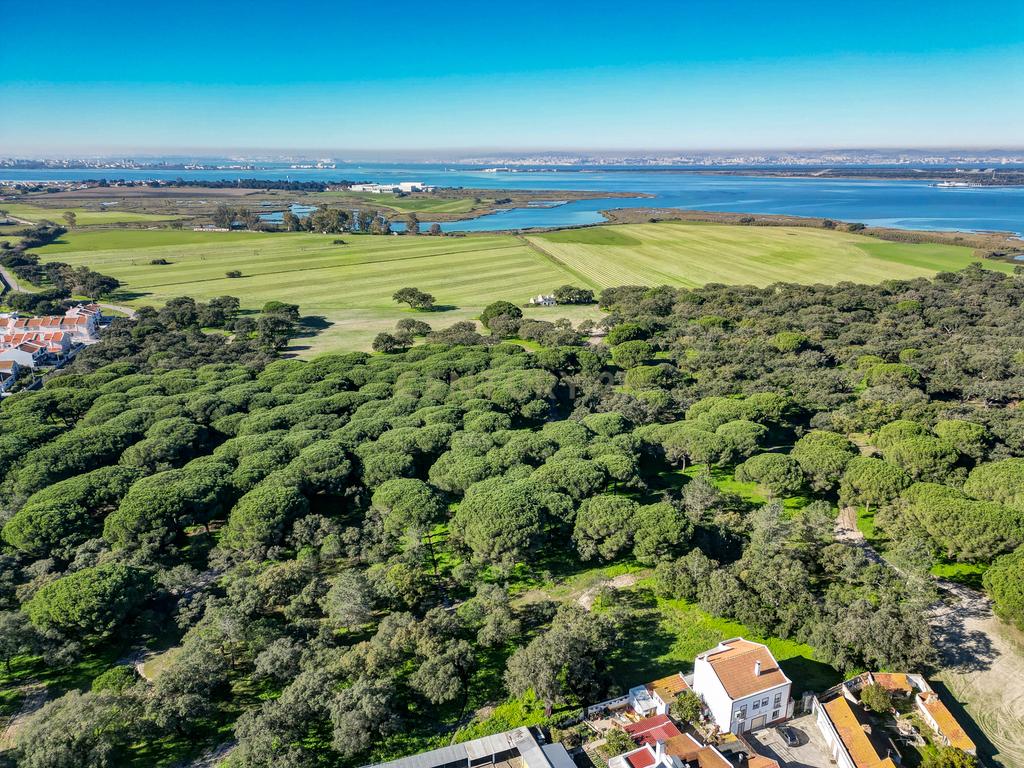 Quinta na margem sul do Tejo, com 105ha, com 5.000m2 de área urbana. - Image 27