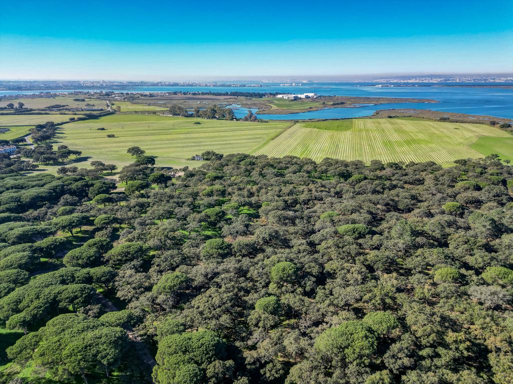 Quinta na margem sul do Tejo, com 105ha, com 5.000m2 de área urbana. - Image 14