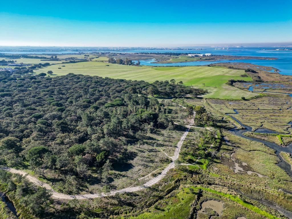 Quinta na margem sul do Tejo, com 105ha, com 5.000m2 de área urbana. - Image 15