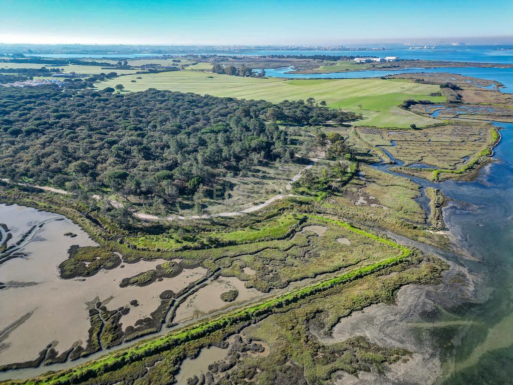 Quinta na margem sul do Tejo, com 105ha, com 5.000m2 de área urbana. - Image 16