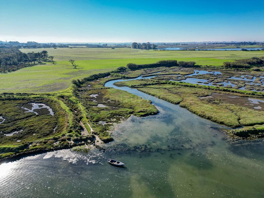Quinta na margem sul do Tejo, com 105ha, com 5.000m2 de área urbana. - Image 28