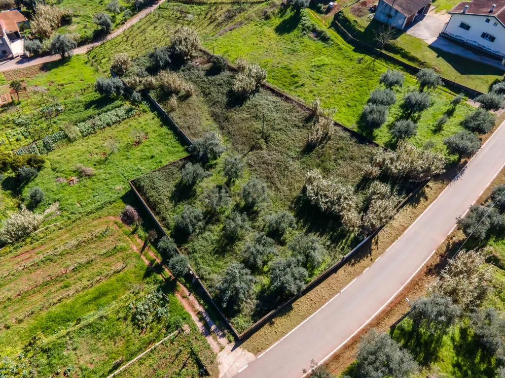 Terreno para Construção | Ceira - Image 16