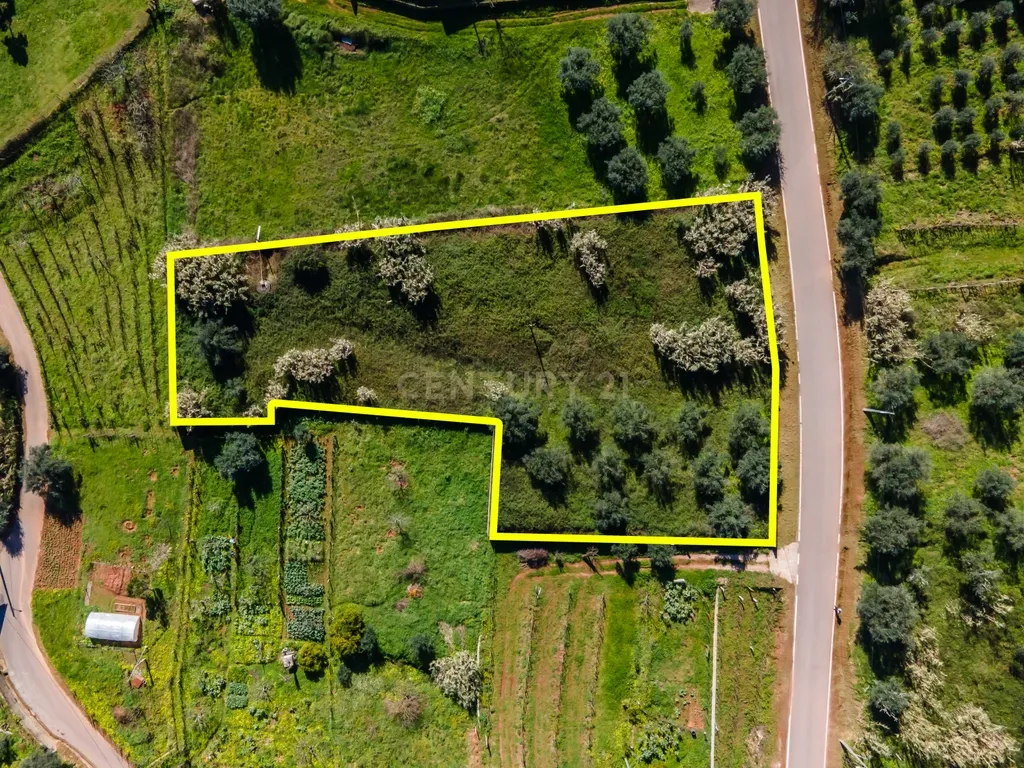 Terreno para Construção | Ceira - Image 2