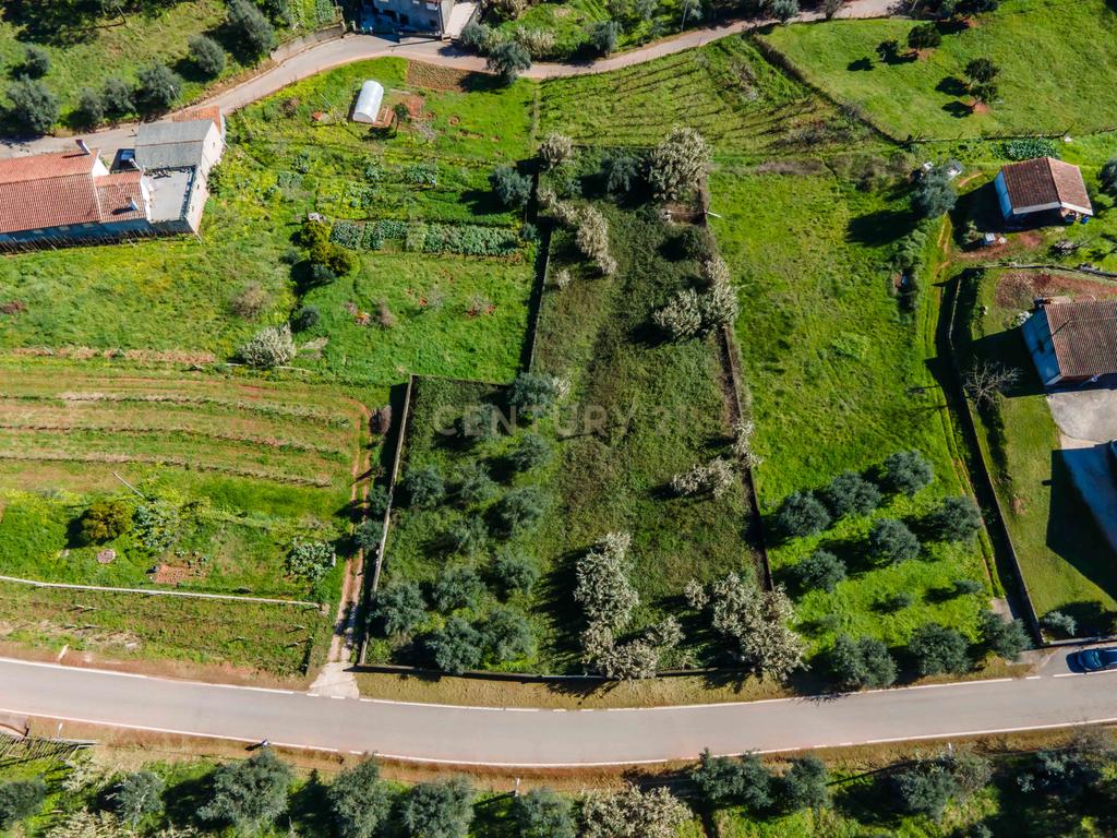 Terreno para Construção | Ceira - Image 6