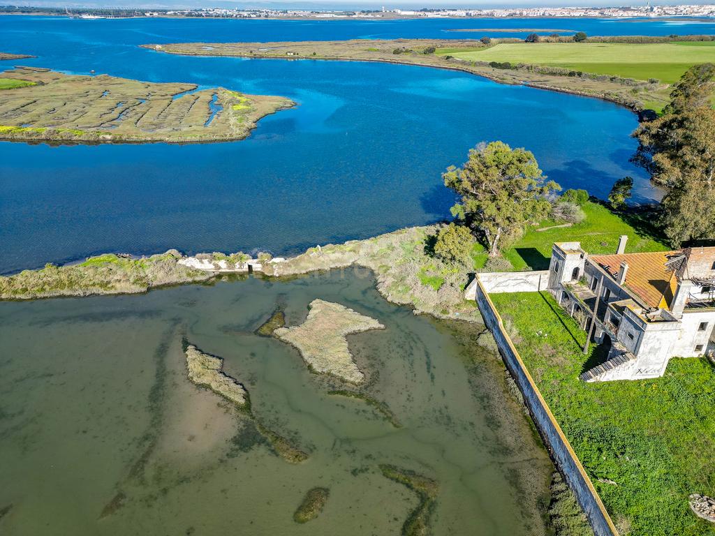 Quinta na margem sul do Tejo, com 105ha, com 5.000m2 de área urbana. - Image 4