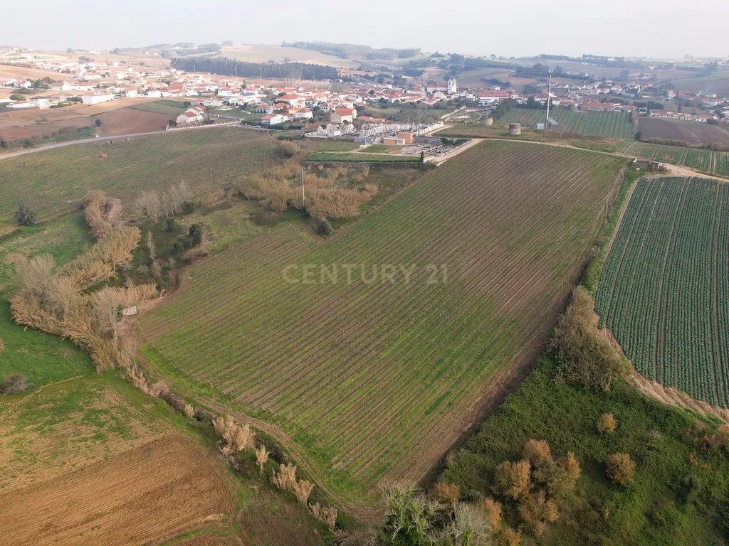 **EXCELENTE OPORTUNIDADE DE INVESTIMENTO NA LOURINHÃ** - Image 10