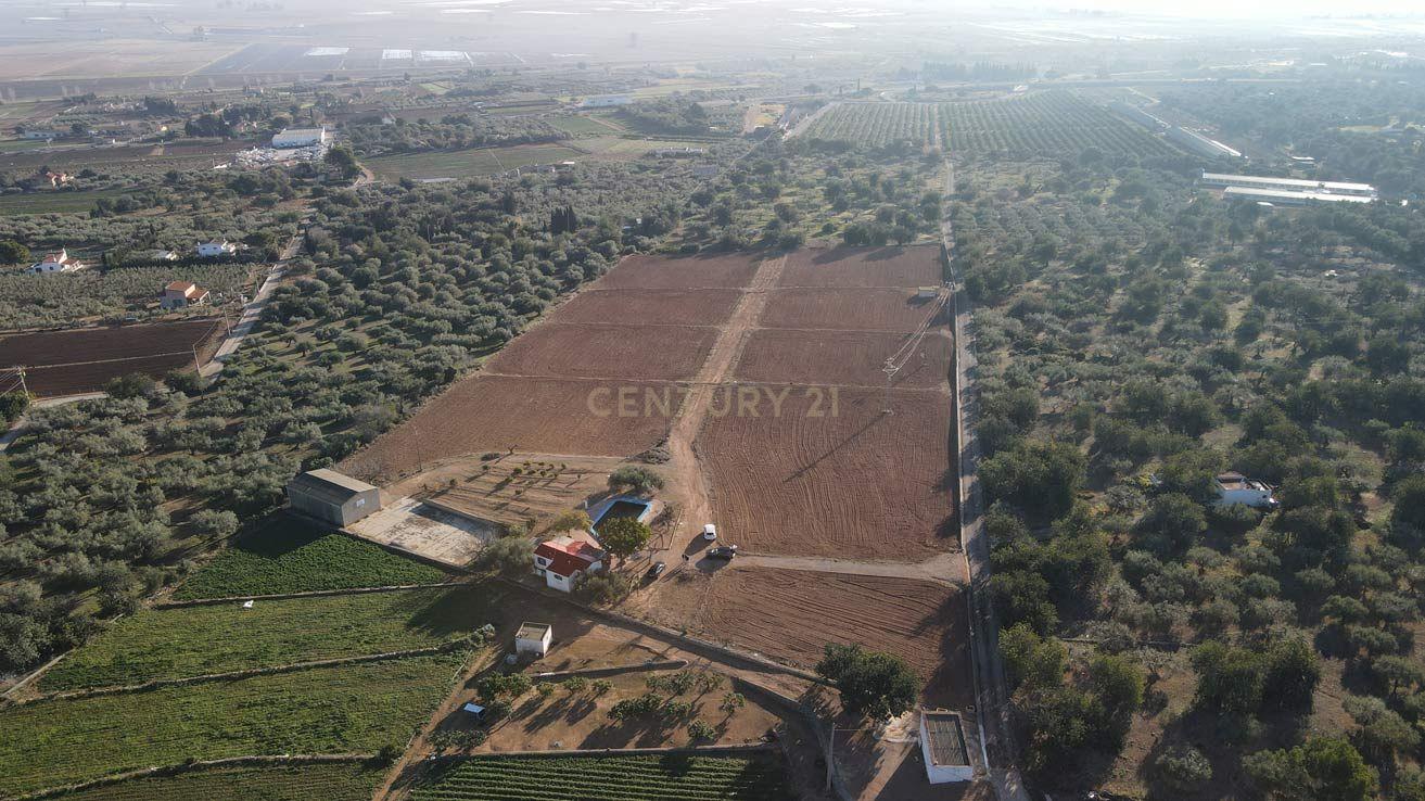 undefined - Image 50