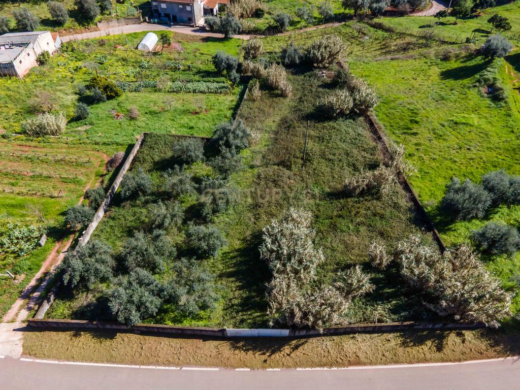 Terreno para Construção | Ceira - Image 12