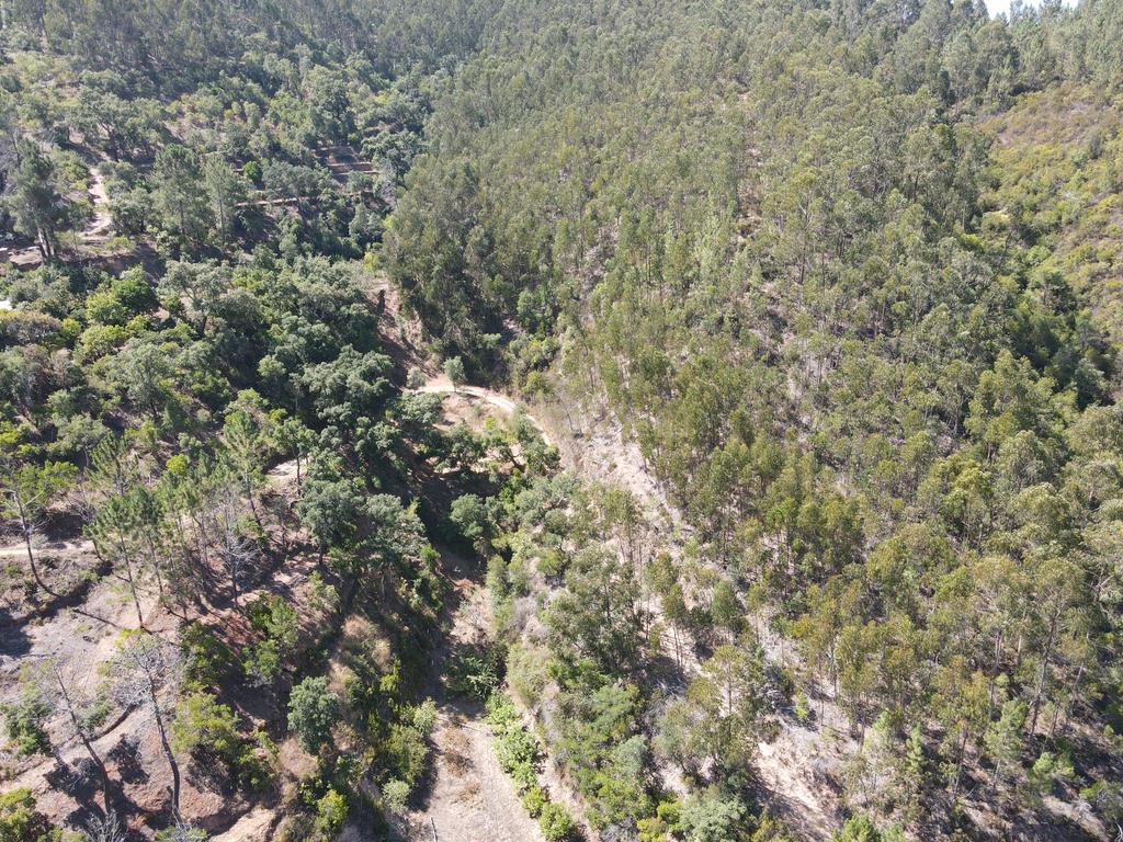 Terreno Rústico de 1 Hectare em Monchique - Image 3