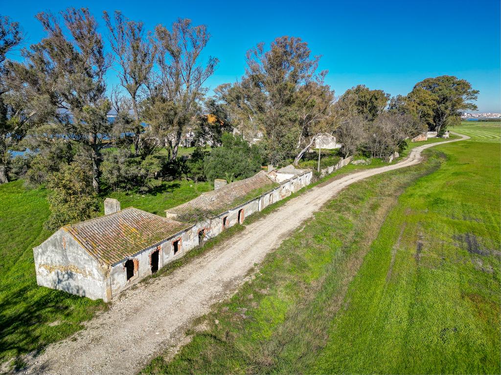Quinta na margem sul do Tejo, com 105ha, com 5.000m2 de área urbana. - Image 23