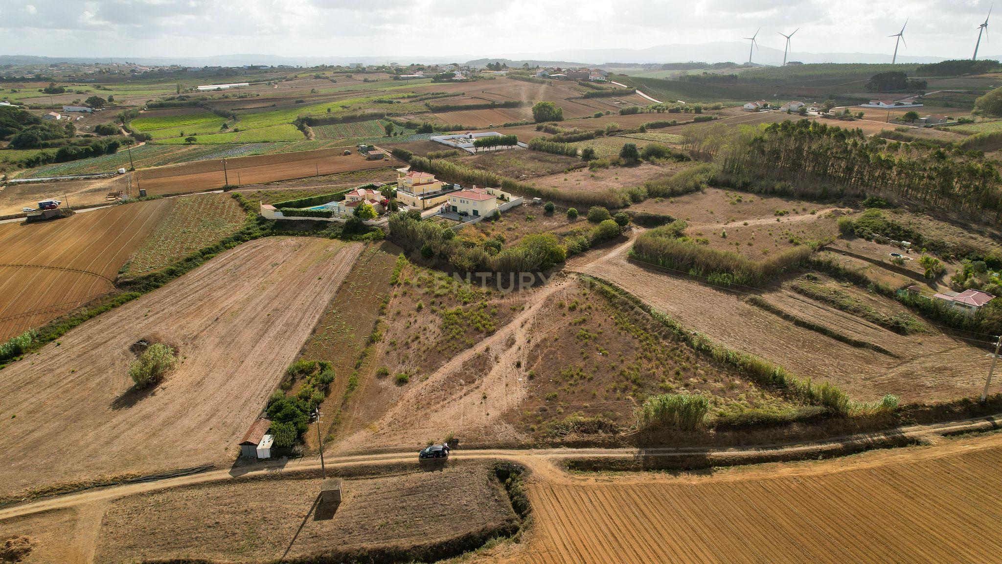 **Terreno rústico com 5920 m2 - Reguengo Pequeno - Lourinhã ** - Image 3