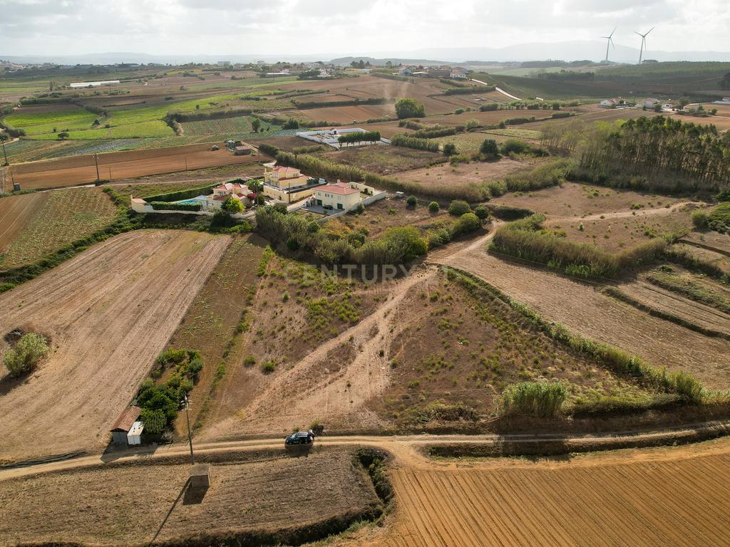 **Terreno rústico com 5920 m2  - Reguengo Pequeno - Lourinhã ** - Image 3