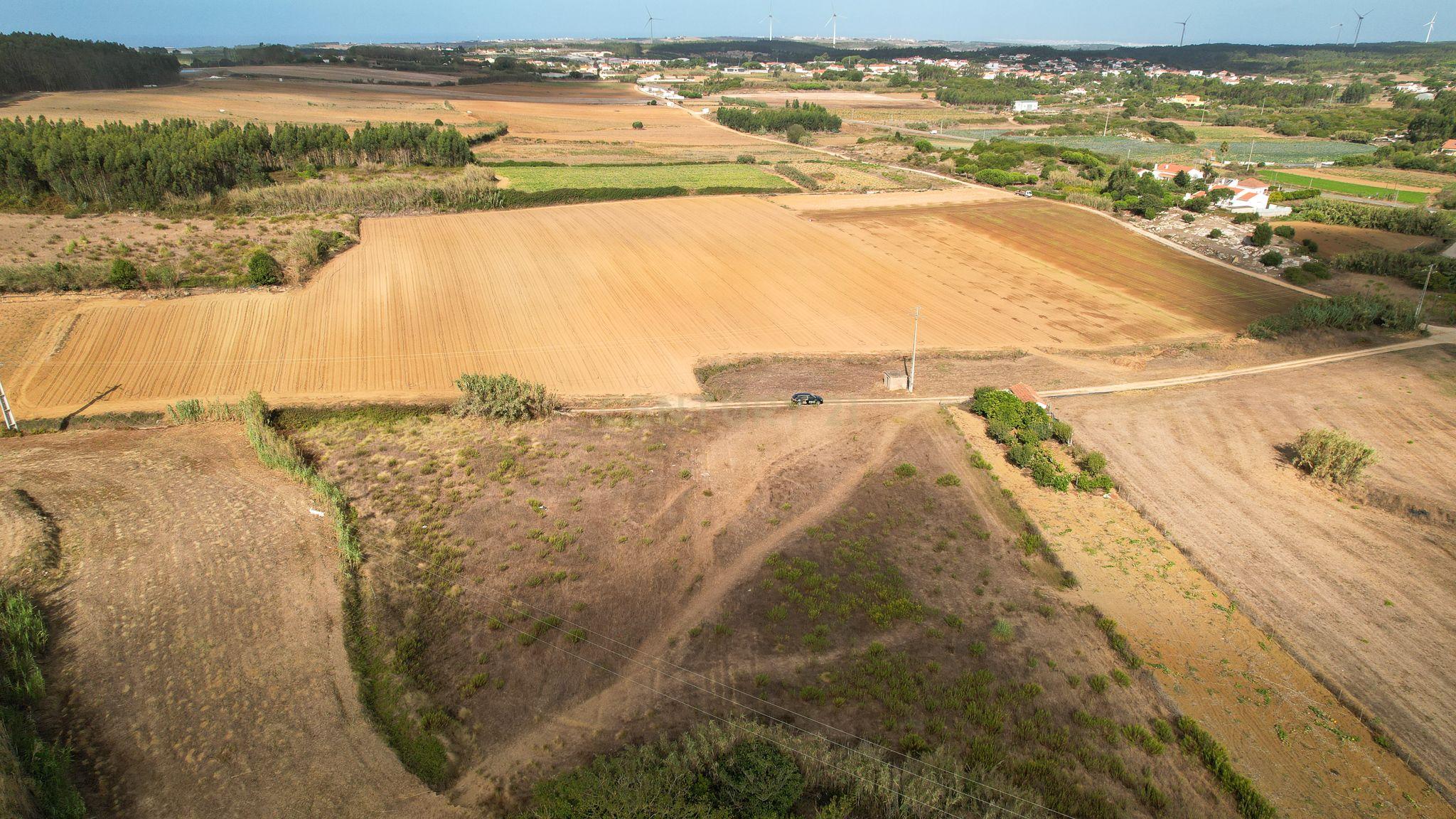 **Terreno rústico com 5920 m2 - Reguengo Pequeno - Lourinhã ** - Image 1