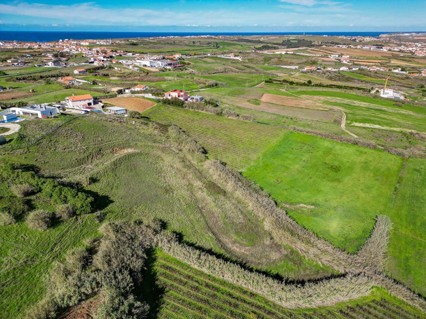 Herdade Monte do Carmo - Encarnação - Ericeira - Mafra - Image 81