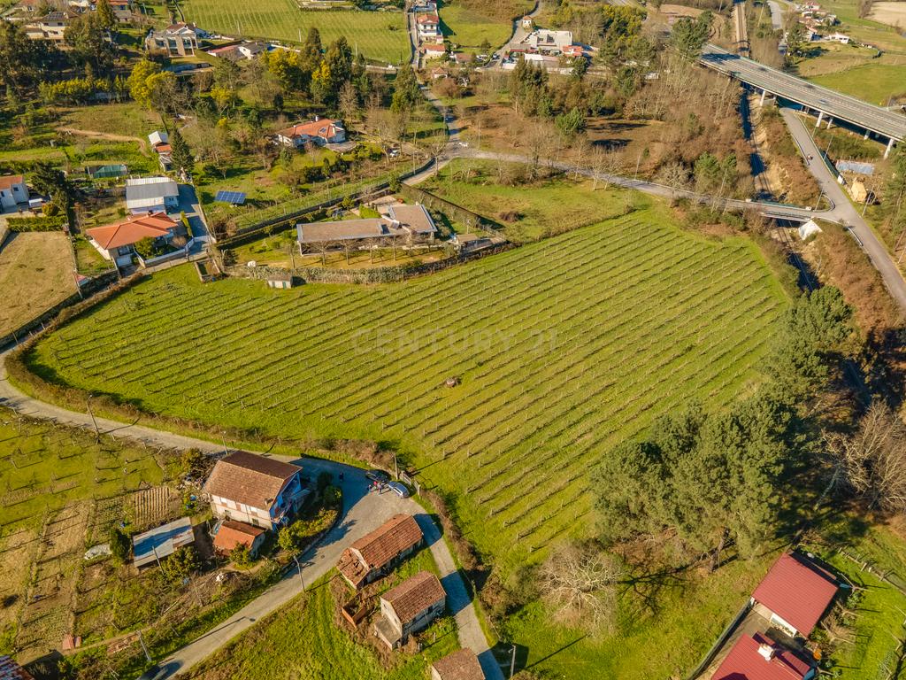 Terreno rústico com viabilidade de construção - Image 6