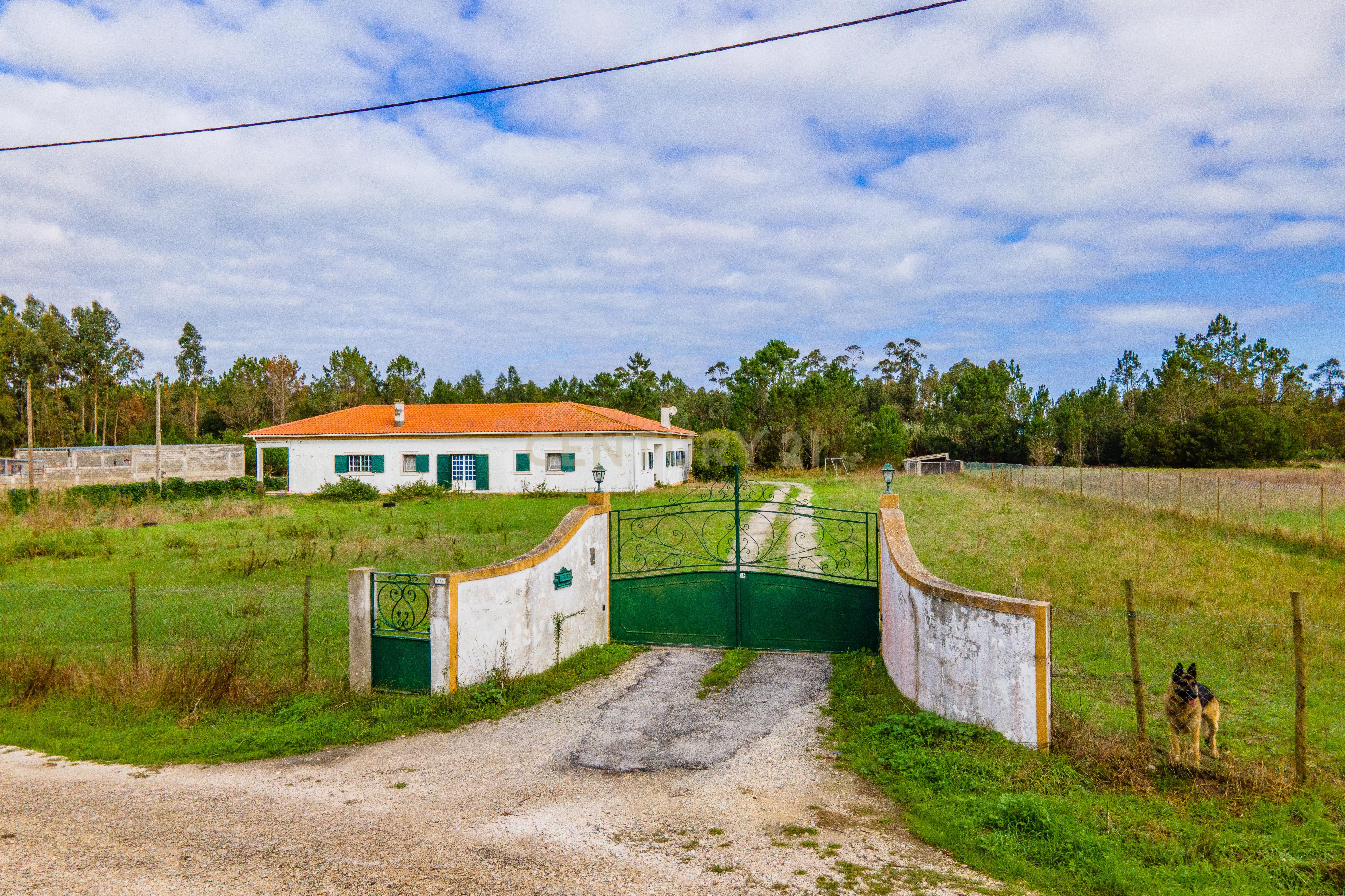 Moradia T3 para venda na vila da Tocha - Image 2