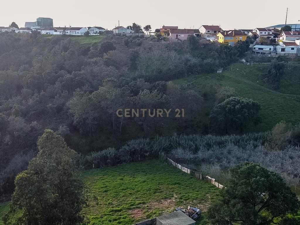 Moradia 3 quartos com armazém, num lote de terreno de 8140m2 - Benedita, Leiria - Image 35