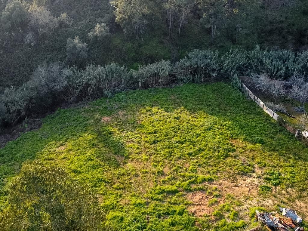Moradia 3 quartos com armazém, num lote de terreno de 8140m2 - Benedita, Leiria - Image 37