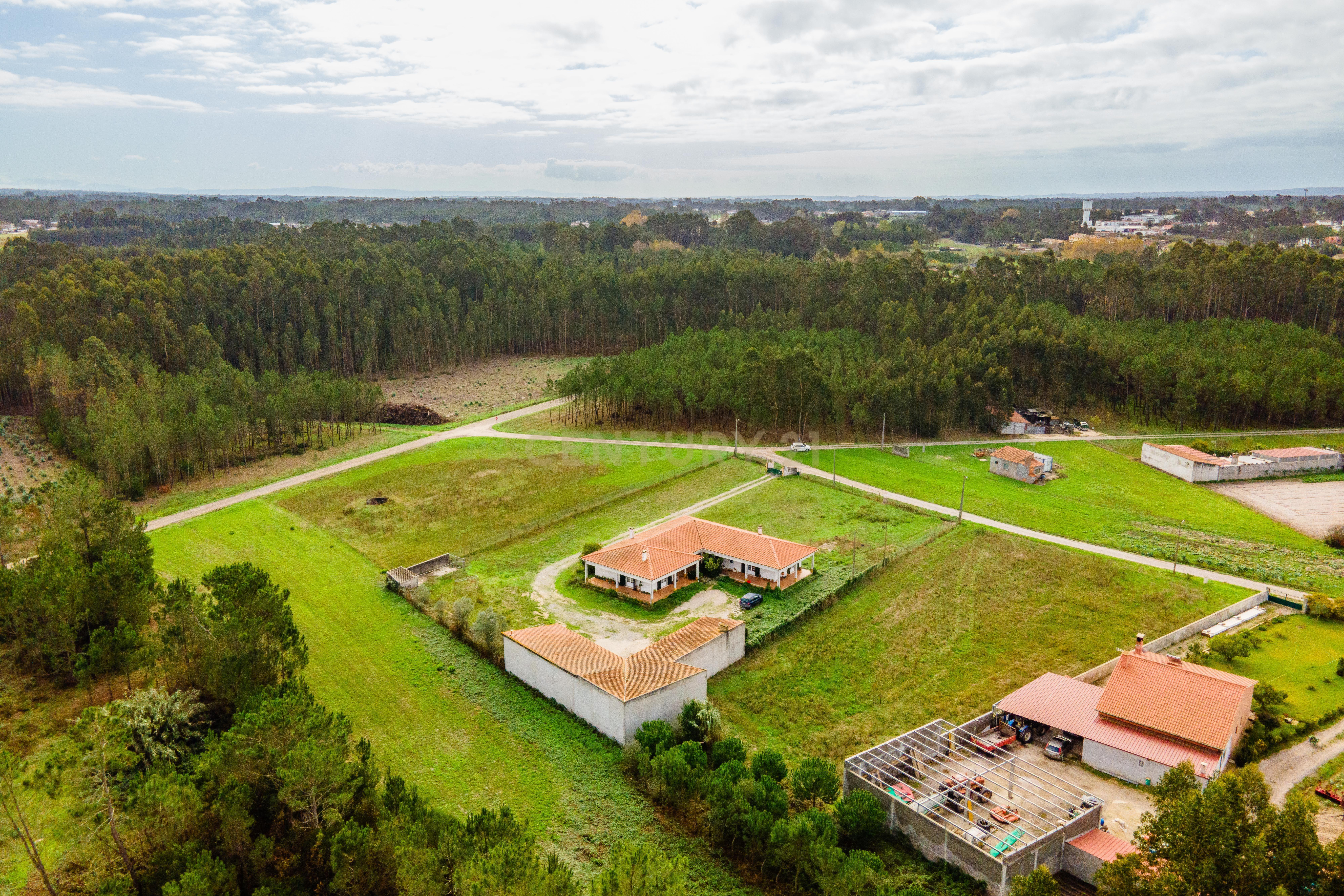 Moradia T3 para venda na vila da Tocha - Image 23