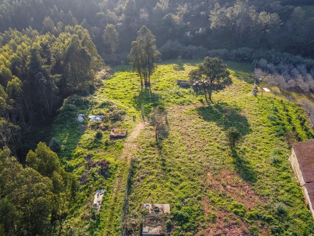 Moradia 3 quartos com armazém, num lote de terreno de 8140m2 - Benedita, Leiria - Image 36