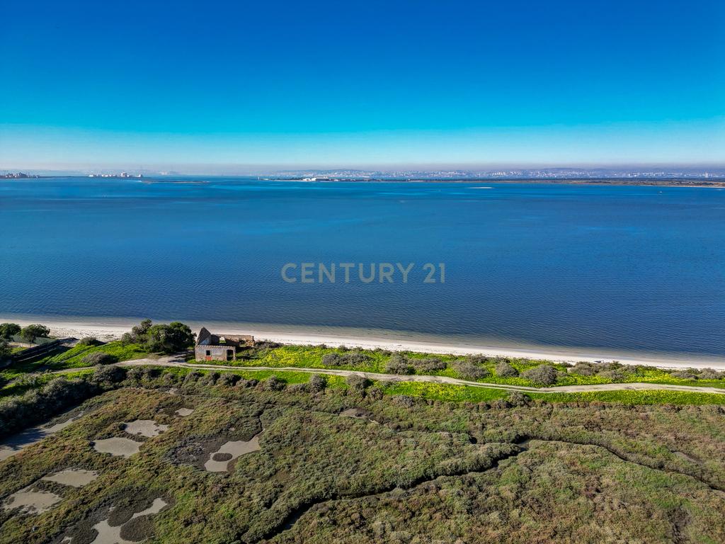 Propriedade na margem sul do Tejo, com 65ha e 796m2 dependências agrícolas - Image 2
