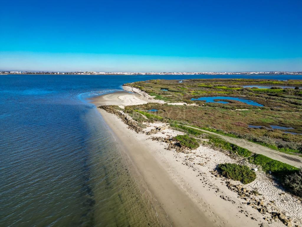 Propriedade na margem sul do Tejo, com 65ha e 796m2 dependências agrícolas - Image 1