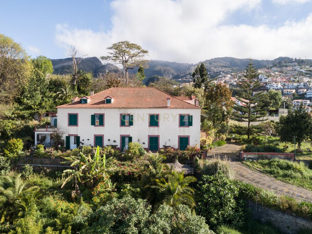 Maravilhosa Quinta tradicional no Funchal: uma oportunidade imperdível! - Image 4