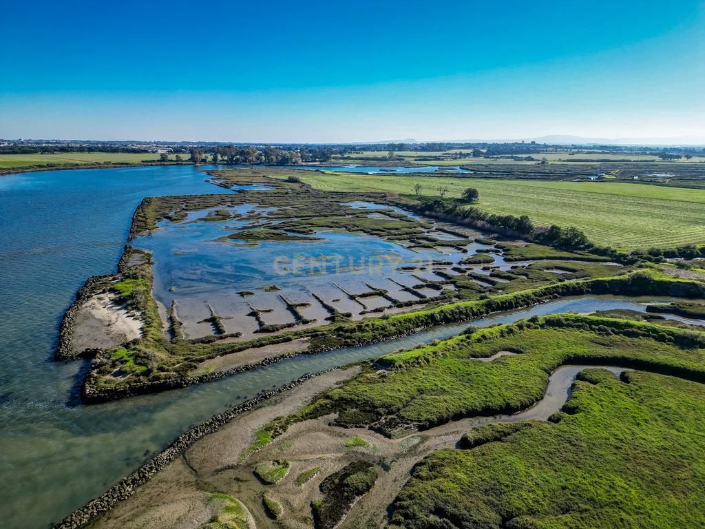 Propriedade na margem sul do Tejo, com 65ha e 796m2 dependências agrícolas - Image 17