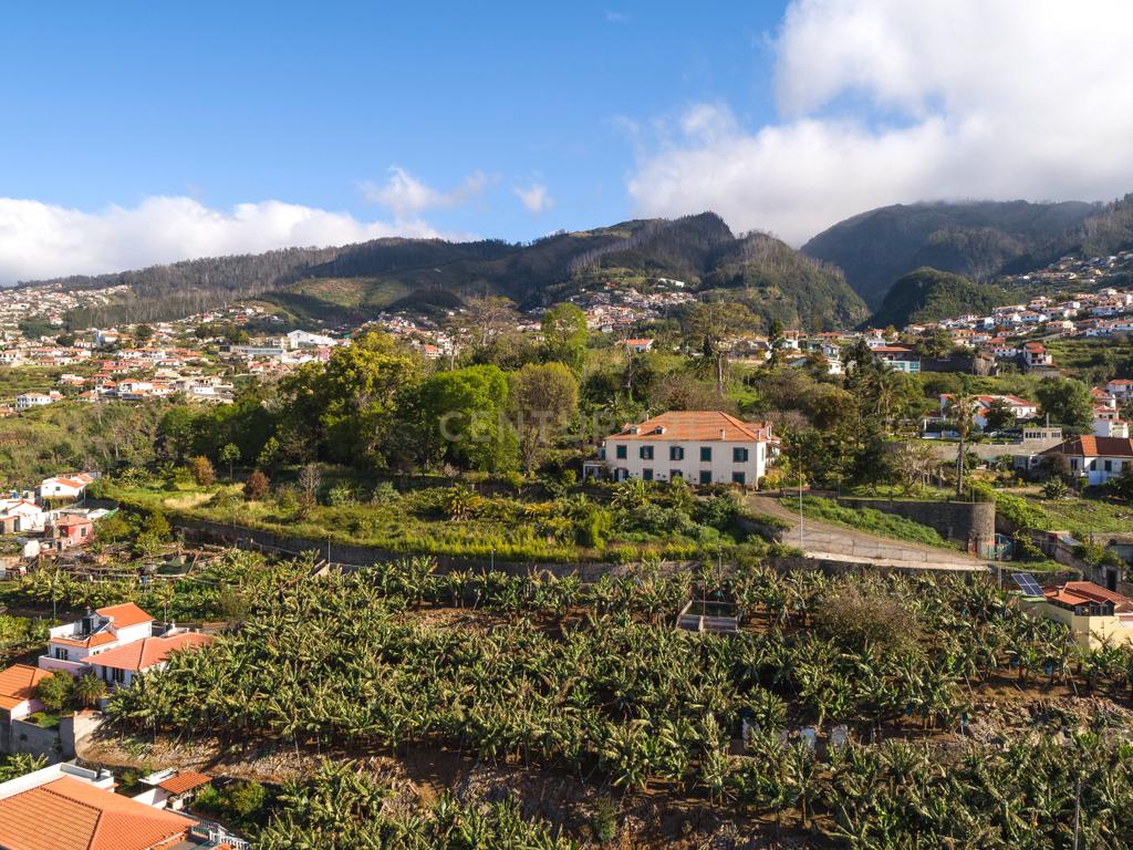 Maravilhosa Quinta tradicional no Funchal: uma oportunidade imperdível! - Image 17