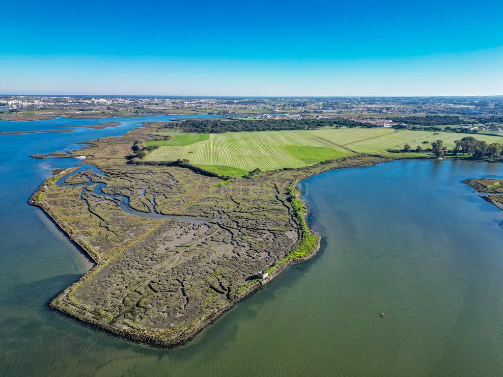 Propriedade na margem sul do Tejo, com 65ha e 796m2 dependências agrícolas - Image 22
