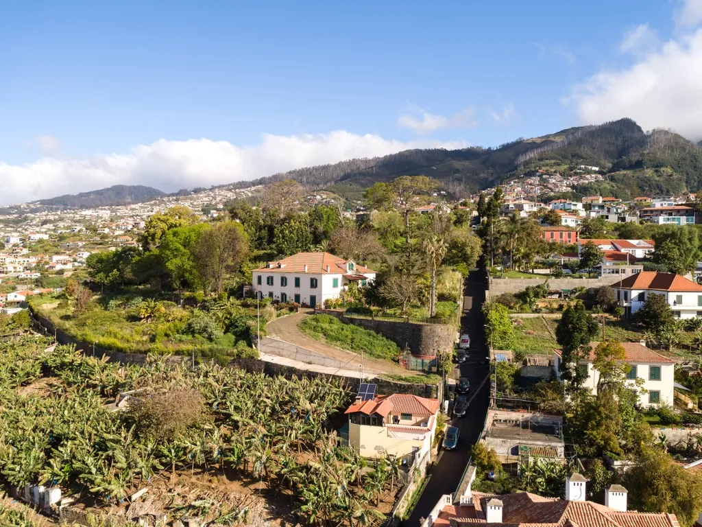 Maravilhosa Quinta tradicional no Funchal: uma oportunidade imperdível! - Image 15