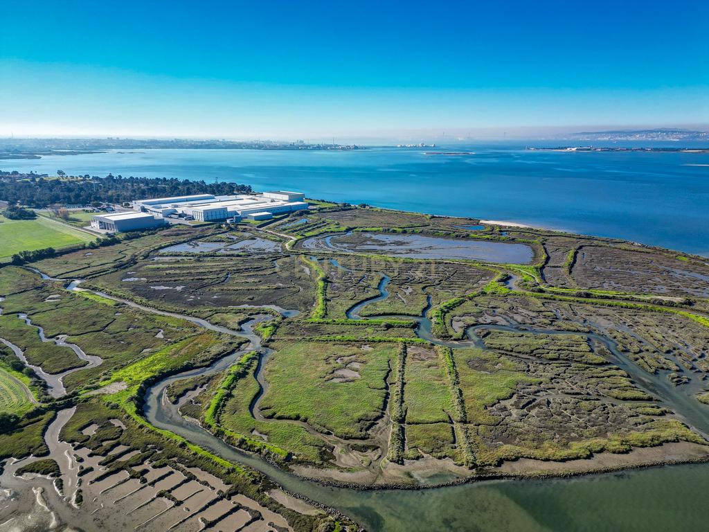 Propriedade na margem sul do Tejo, com 65ha e 796m2 dependências agrícolas - Image 18