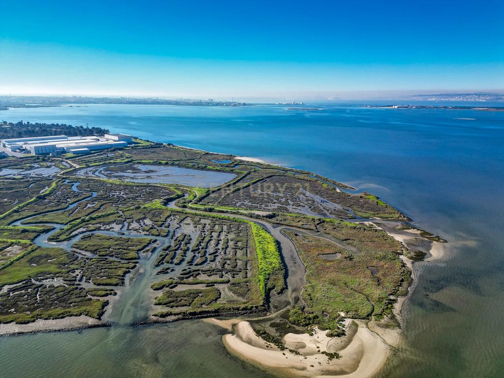 Propriedade na margem sul do Tejo, com 65ha e 796m2 dependências agrícolas - Image 24