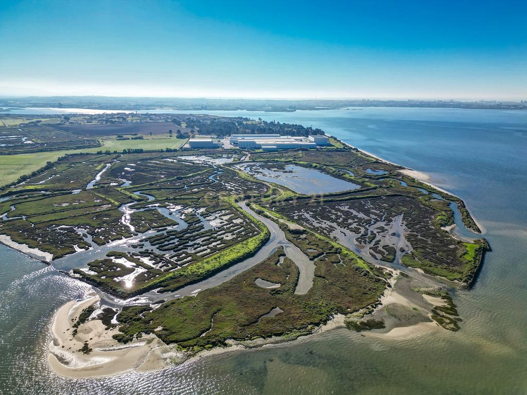 Propriedade na margem sul do Tejo, com 65ha e 796m2 dependências agrícolas - Image 20