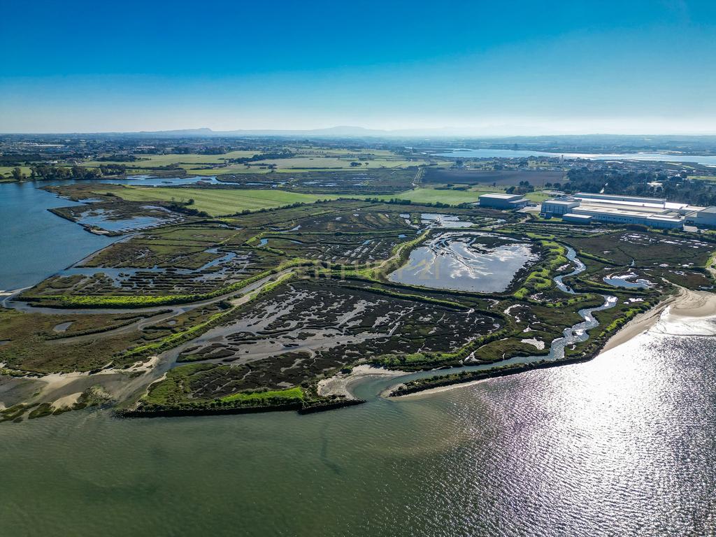 Propriedade na margem sul do Tejo, com 65ha e 796m2 dependências agrícolas - Image 31