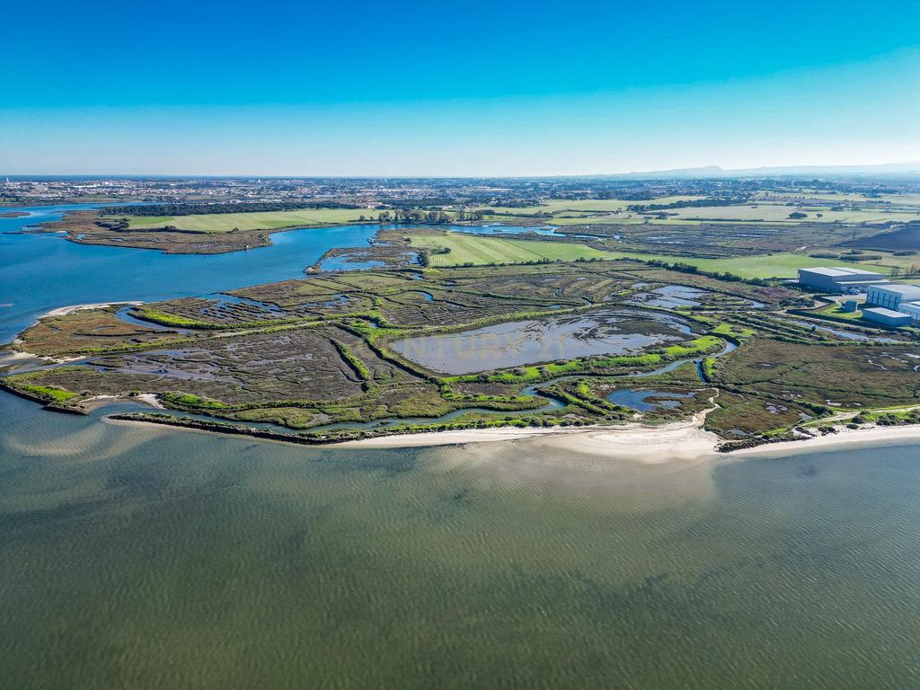 Propriedade na margem sul do Tejo, com 65ha e 796m2 dependências agrícolas - Image 25