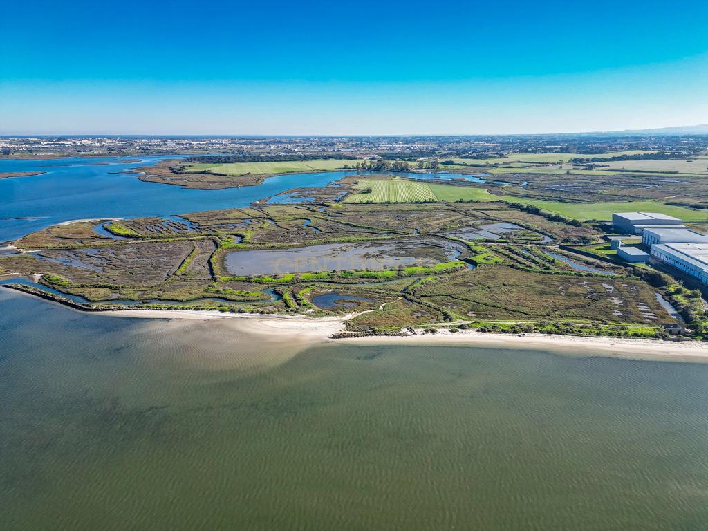 Propriedade na margem sul do Tejo, com 65ha e 796m2 dependências agrícolas - Image 23