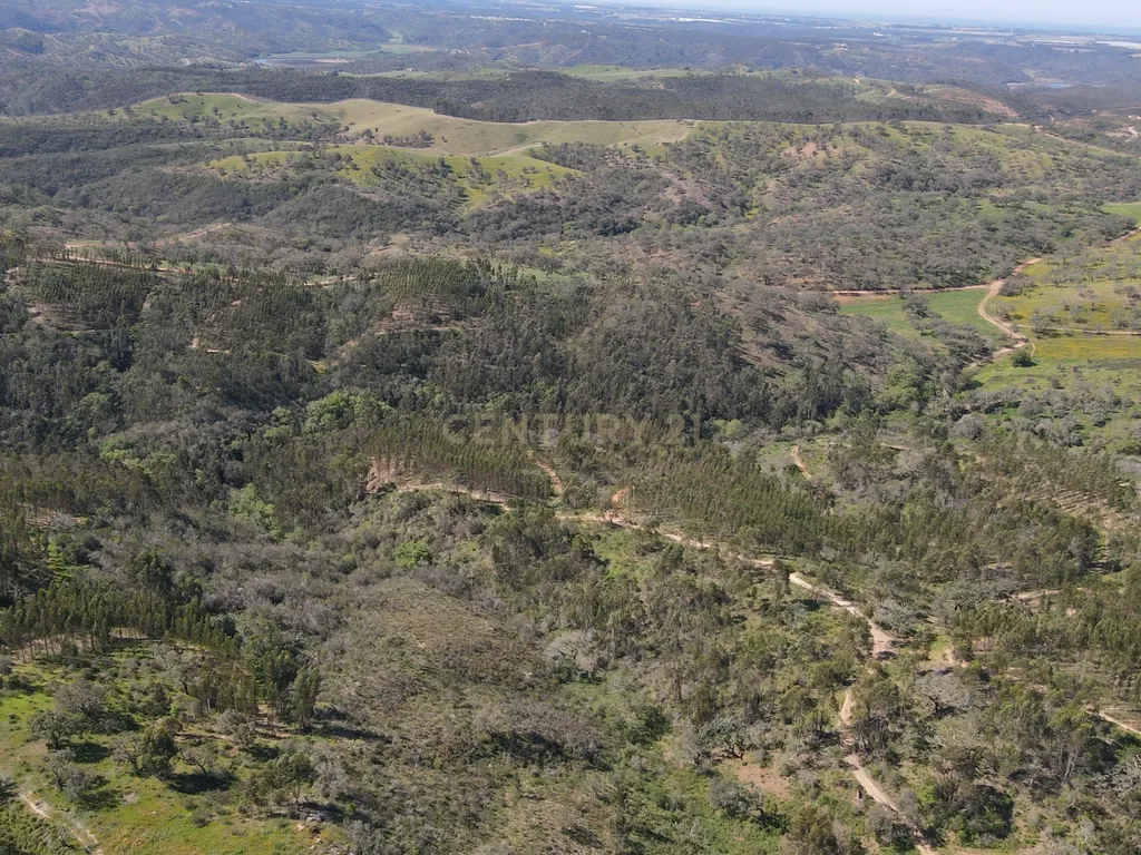 Herdade em S.Luis, Odemira - Image 6