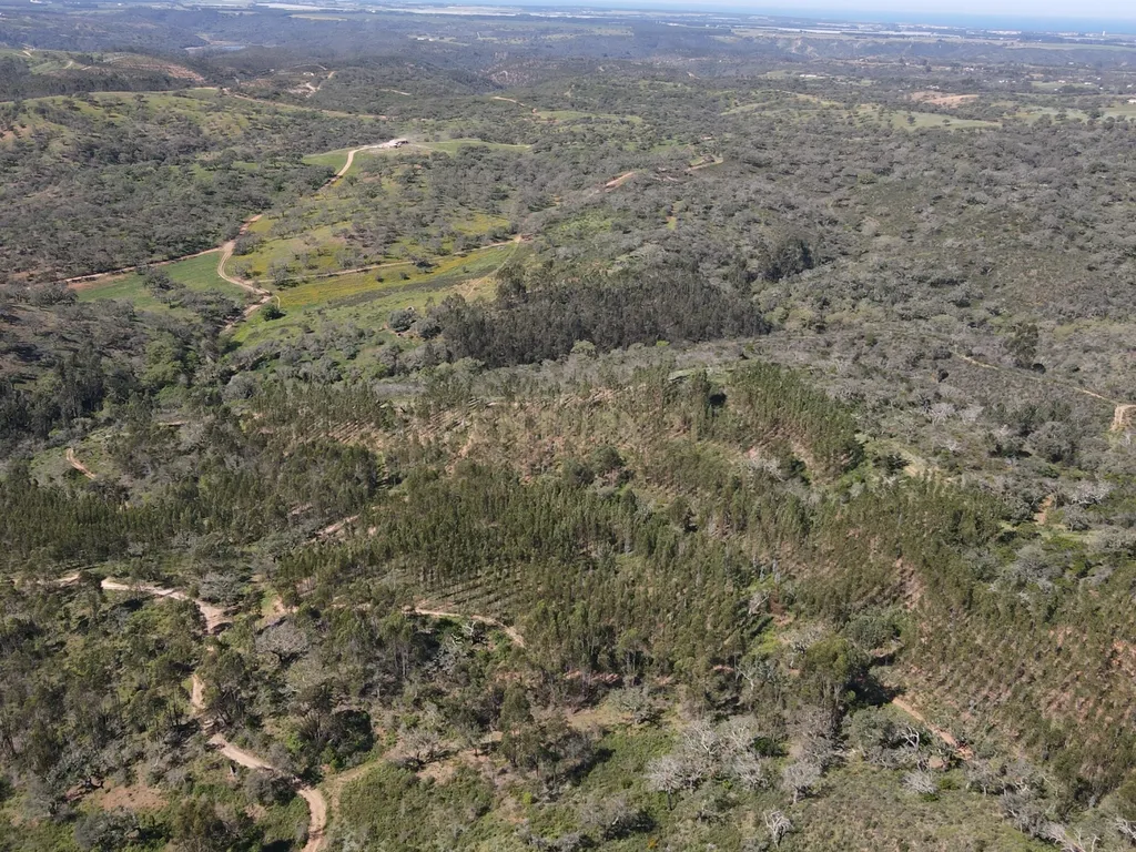 Herdade em S.Luis, Odemira - Image 30