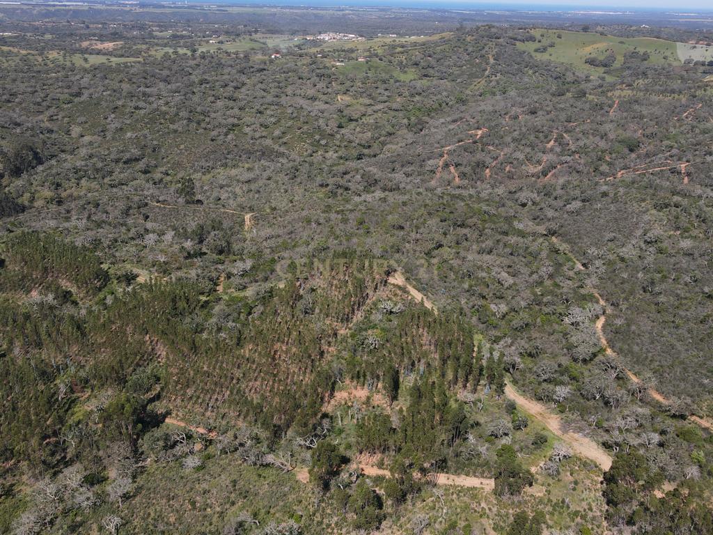 Herdade em S.Luis, Odemira - Image 29